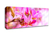 Stunning Deep Pink Flowers Canvas Wall Art
