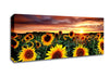 Magic Landscape Sunflower Field Canvas Wall Art