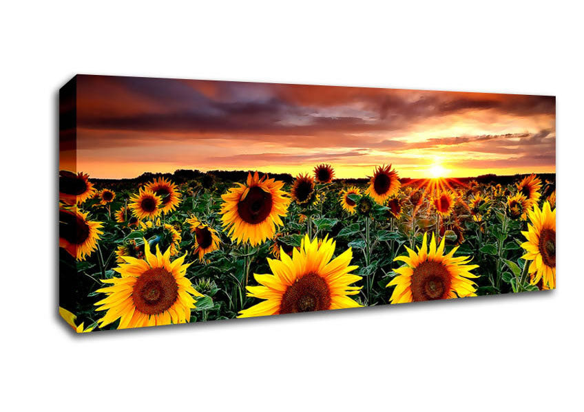 Magic Landscape Sunflower Field Canvas Wall Art