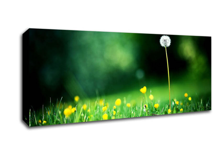My Last Wish Canvas Wall Art