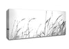 Little Shadow Canvas Wall Art