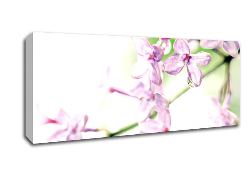 Lilac Flowers Canvas Wall Art