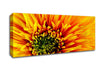 The Orange Centre Of Beauty Canvas Wall Art