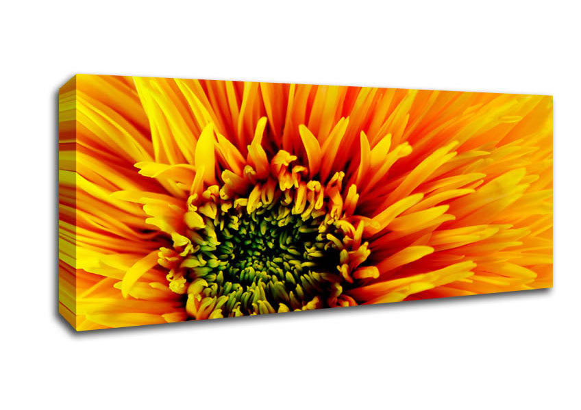 The Orange Centre Of Beauty Canvas Wall Art