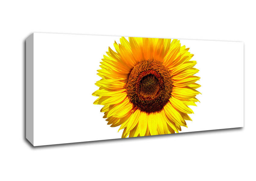 Yellow Sunflower Head Canvas Wall Art