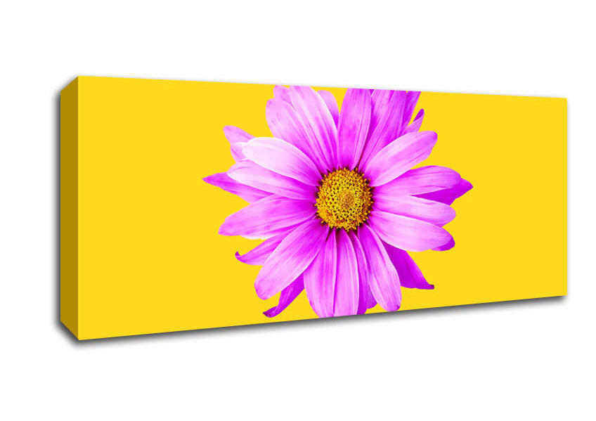Pink Daisy On Yellow Canvas Wall Art