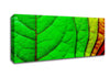 Colour Of Leaves Canvas Wall Art