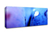 Blue Petal Water Droplet Canvas Wall Art