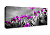 Purple Tuilp Skies B n W Canvas Wall Art