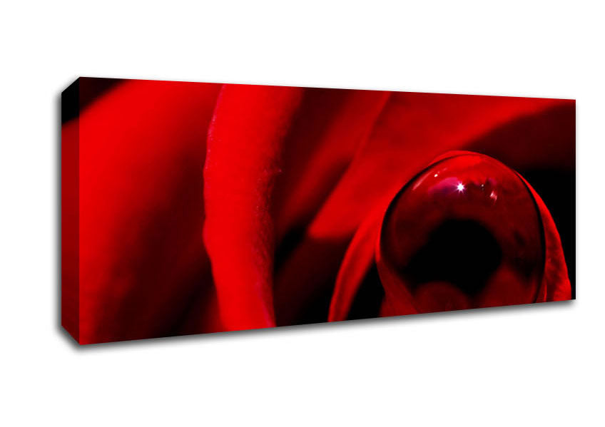 Red Rose Center Dew Canvas Wall Art
