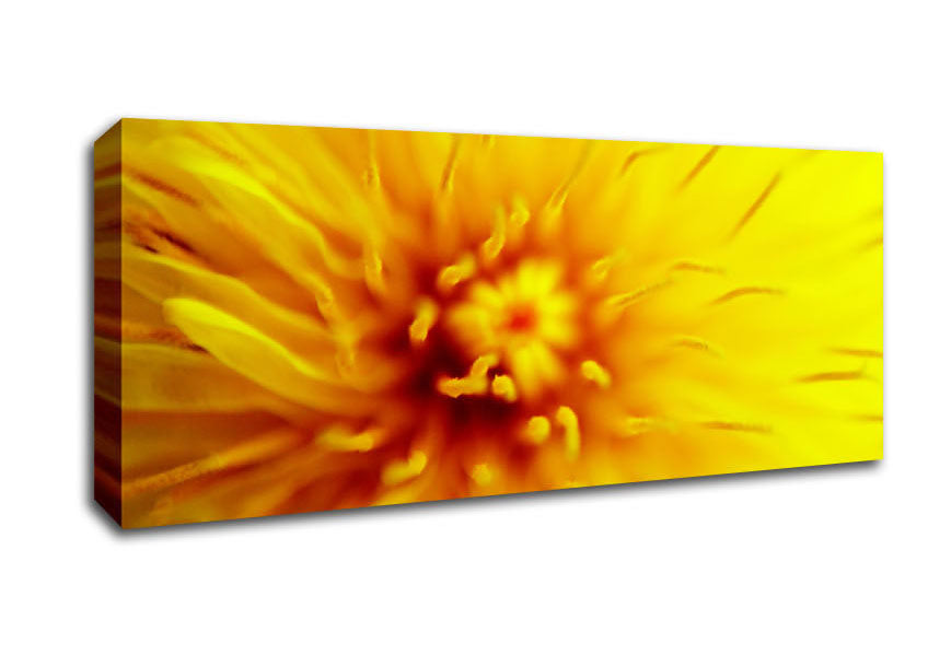 Yellow Beauty Canvas Wall Art