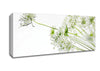White On White Flowers Canvas Wall Art