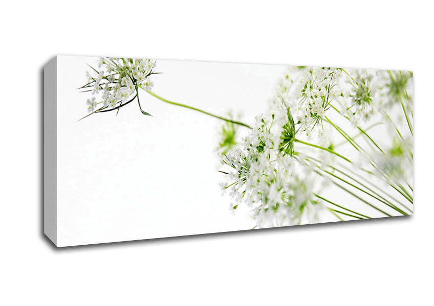 White On White Flowers Canvas Wall Art