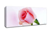Single Pink Rose Bud Canvas Wall Art