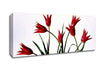 Red Fire Tulip Bouquet Canvas Wall Art