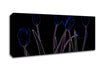 Abstarct Neon Floral 23 Canvas Wall Art