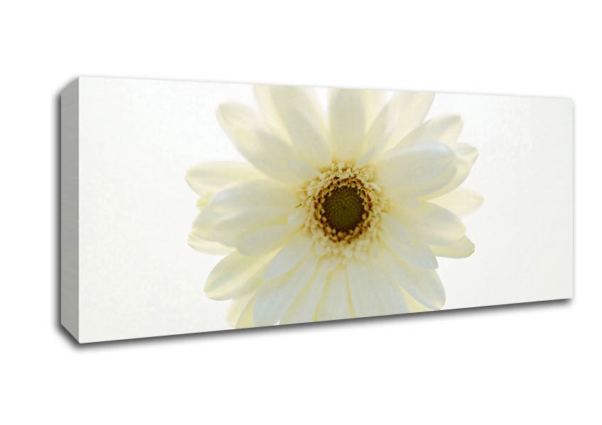 White On White Daisy Face Canvas Wall Art