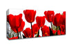 Red Tulip Skies Canvas Wall Art