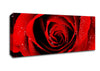 Close-Up Of A Red Rose Dew Drop Canvas Wall Art