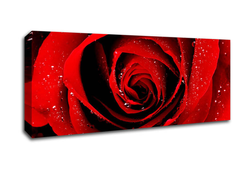 Close-Up Of A Red Rose Dew Drop Canvas Wall Art