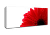 Red Gerbera Petal Centre Canvas Wall Art