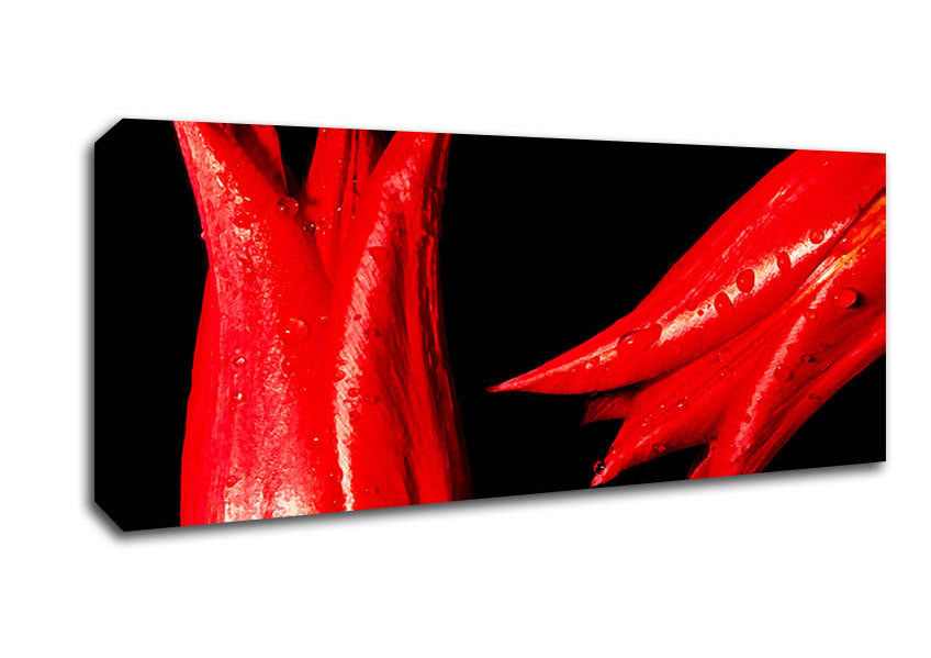 A Pair Of Red Tulips Canvas Wall Art