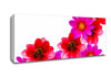 Pink And Red Flower Heads Canvas Wall Art