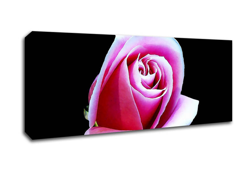 Pink Rose On Black Canvas Wall Art