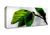 The Winter Leaves Canvas Wall Art
