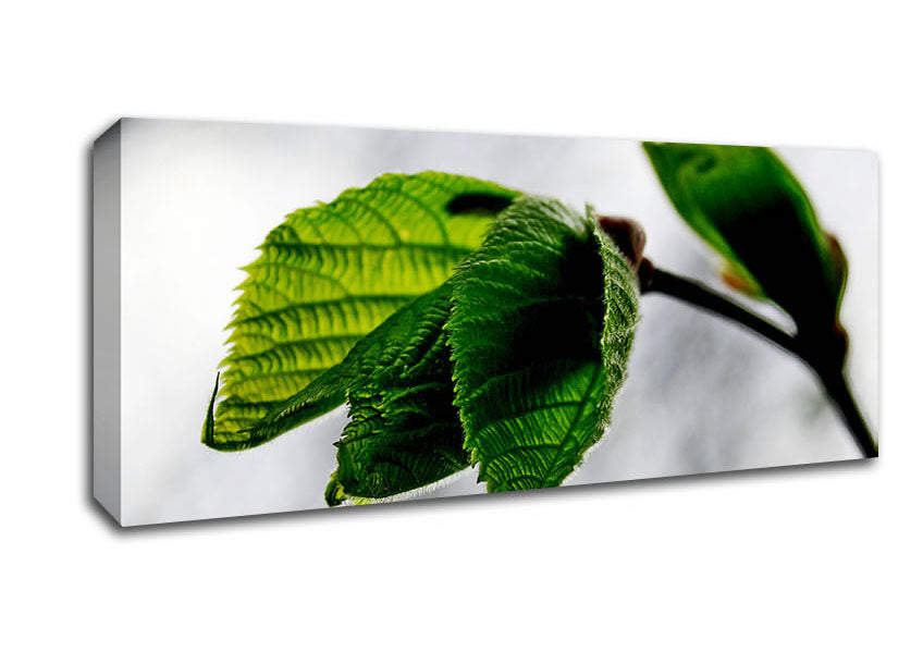 The Winter Leaves Canvas Wall Art
