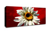 White Daisy On Red Canvas Wall Art