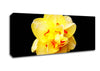 Yellow Star Flower Canvas Wall Art