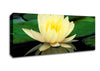 Yellow Water Lily Reflection Canvas Wall Art