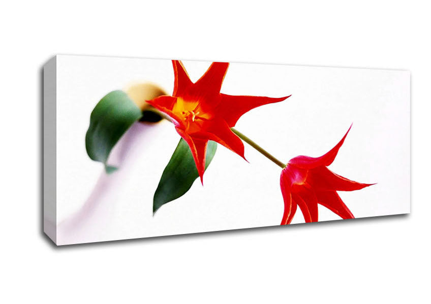 Twin Fire Tulip Centre Canvas Wall Art