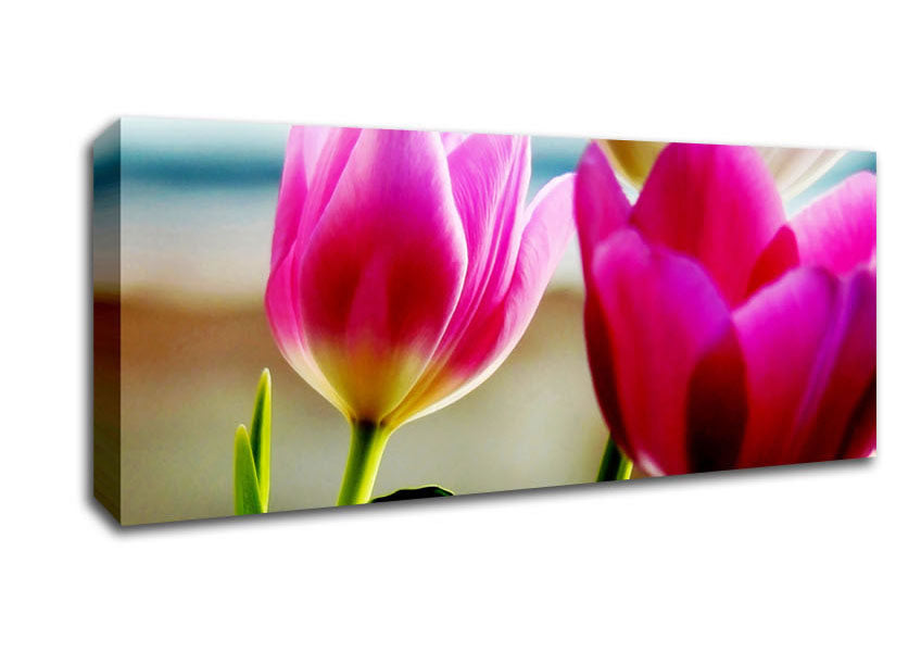 Pink Tulip Parade Canvas Wall Art