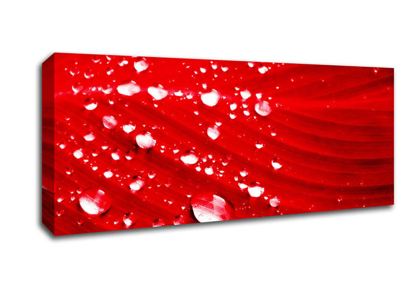 Red Water Droplets Canvas Wall Art