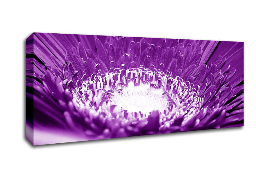 Daisy Centre Purple Canvas Wall Art