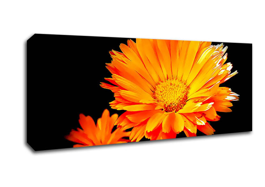 Vibrant Orange Gerberas Canvas Wall Art