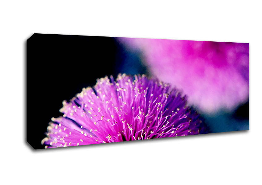 Cerise Pink Pom Poms Canvas Wall Art