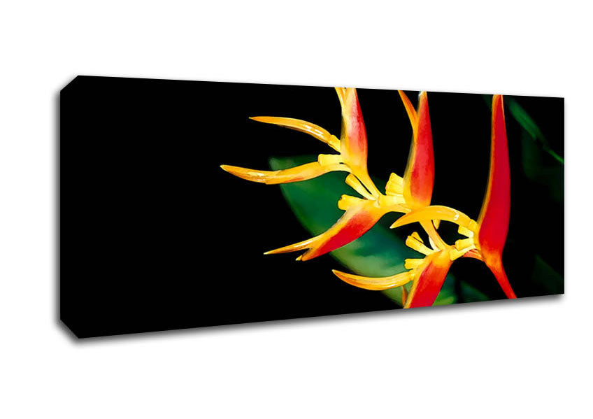Bird Of Paradise In Sunlight Canvas Wall Art