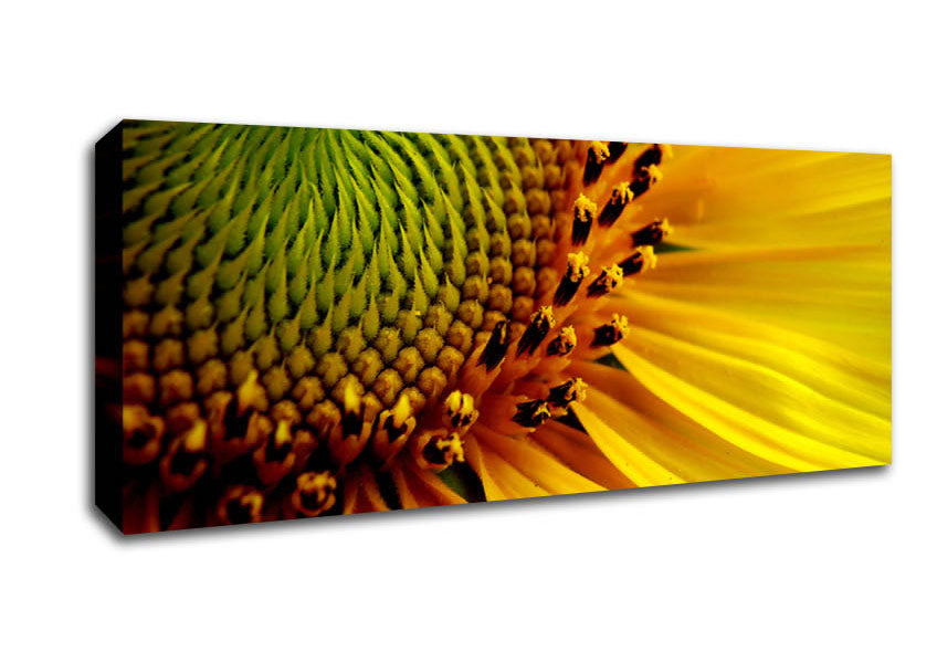 Yellow Sunflower Centre Canvas Wall Art