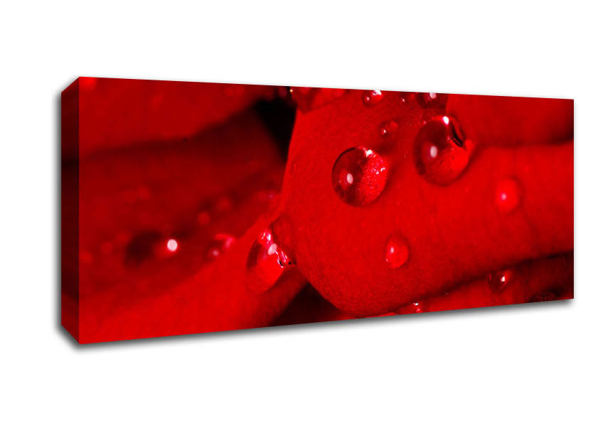 Red Petal Dew Drop Canvas Wall Art