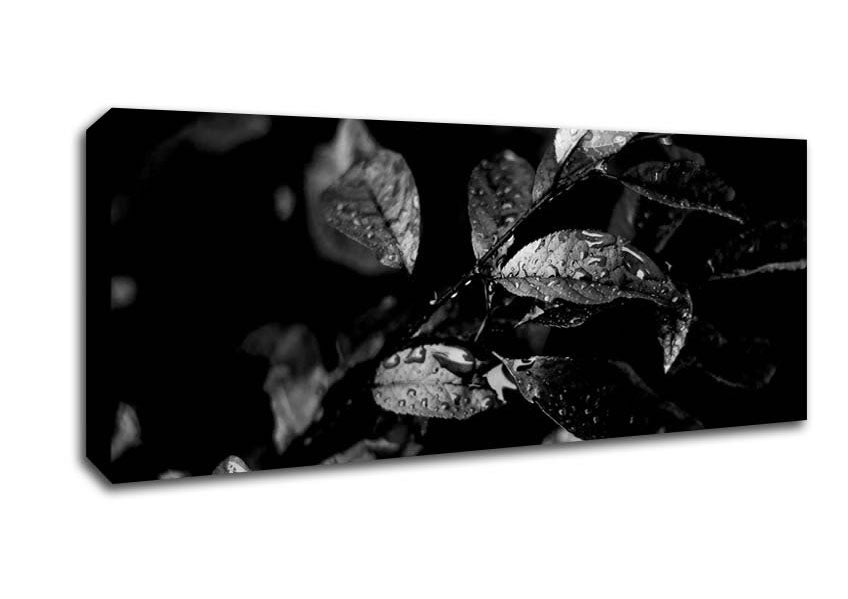 Winter Leaves B n W Canvas Wall Art
