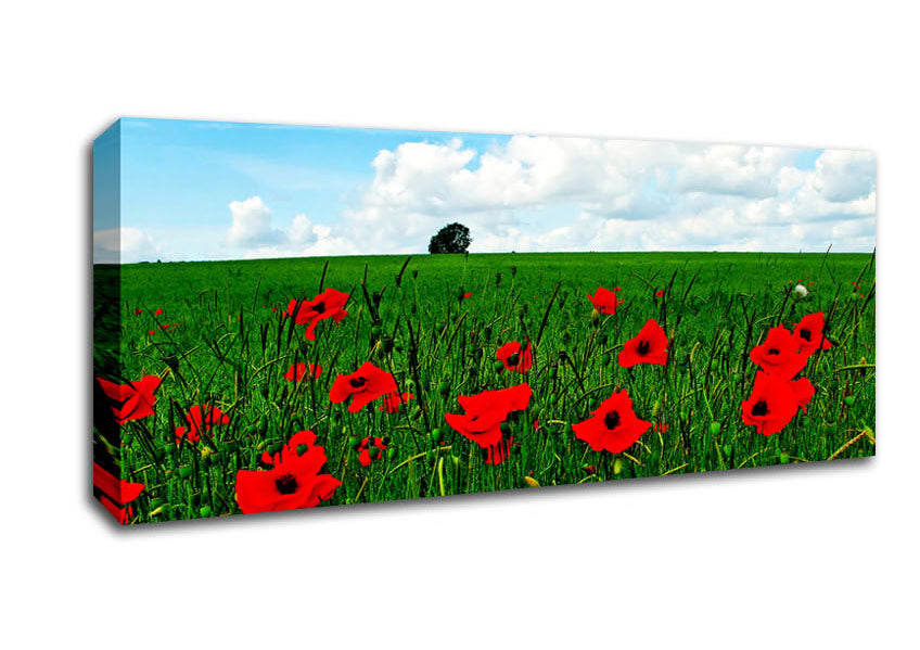 Poppy Fields On A Cloudy Day Canvas Wall Art