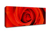 Close-Up Of A Beautiful Rose Canvas Wall Art