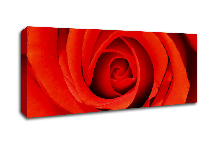 Close-Up Of A Beautiful Rose Canvas Wall Art