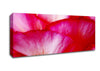 The Waves Of A Pink Flower Canvas Wall Art