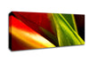 Colours Of Nature Canvas Wall Art
