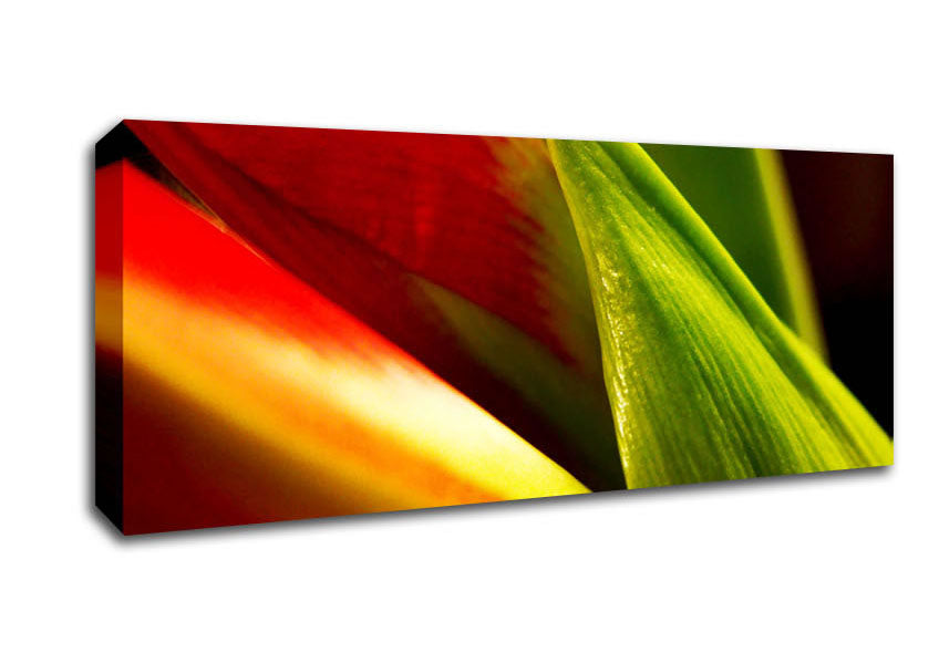 Colours Of Nature Canvas Wall Art