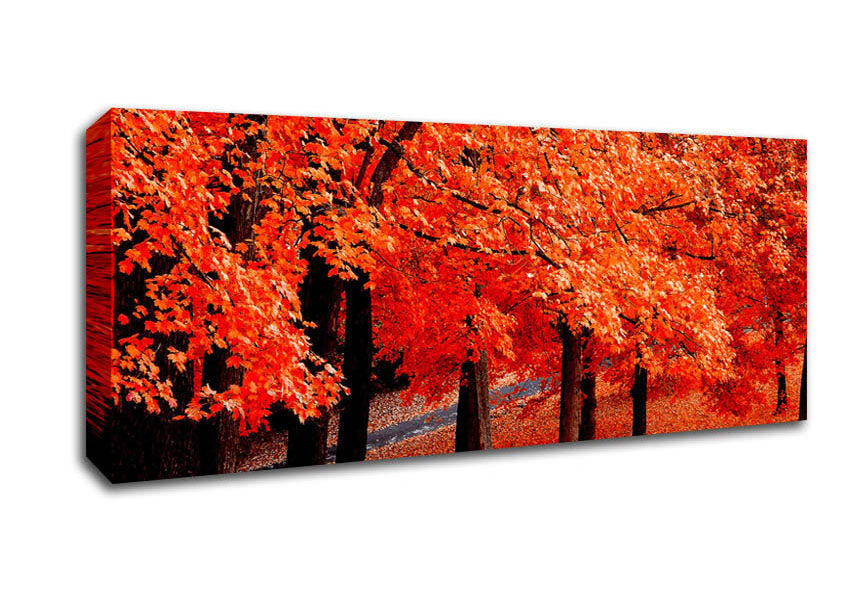Beautiful Autumn Orange Leaves Canvas Wall Art